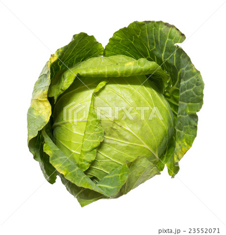 Top view of closeup cabbage on isolated white  23552071