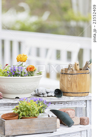 ガーデニングのイメージ 23552409