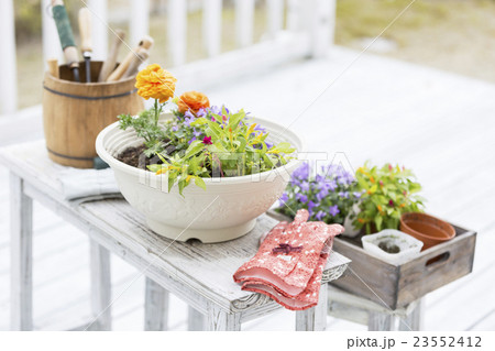 ガーデニングのイメージ 23552412