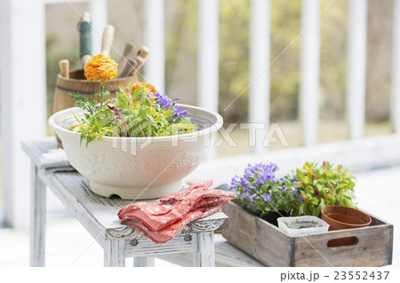 ガーデニングのイメージ 23552437