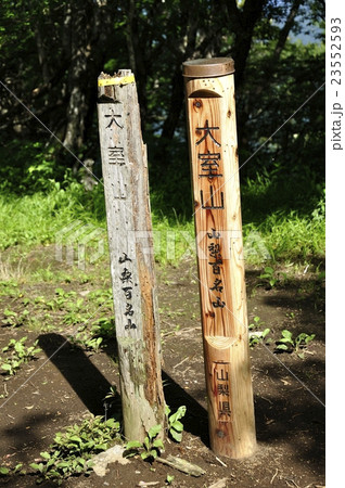 木漏れ日の大室山山頂 木漏れ日の大室山山頂 23552593