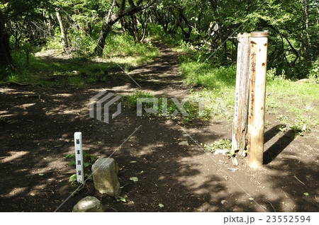木漏れ日の大室山山頂 木漏れ日の大室山山頂 23552594