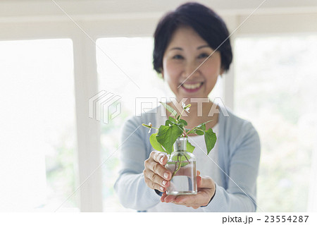 ミドルライフスタイル 23554287