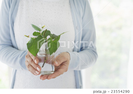 ミドルライフスタイル 23554290