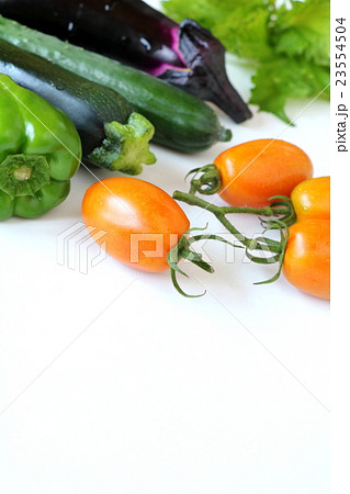 夏野菜 23554504