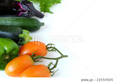 夏野菜 夏野菜 23554505