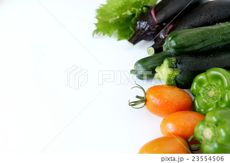 夏野菜 23554506
