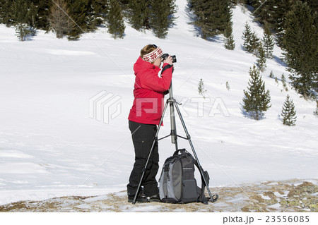 Female photographer takes pictures Female photographer takes pictures 23556085