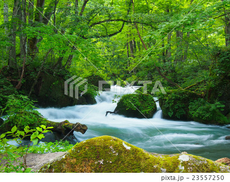 青森_奥入瀬渓流 青森_奥入瀬渓流 23557250