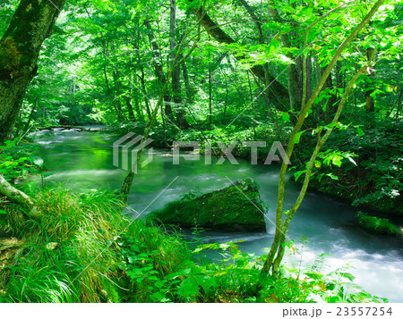 青森_奥入瀬渓流 青森_奥入瀬渓流 23557254