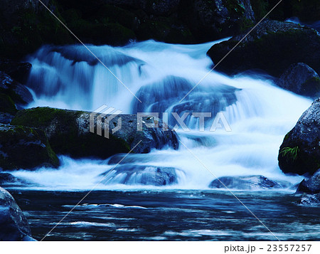 青森_奥入瀬渓流 青森_奥入瀬渓流 23557257