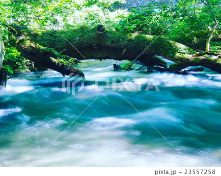 青森_奥入瀬渓流 23557258