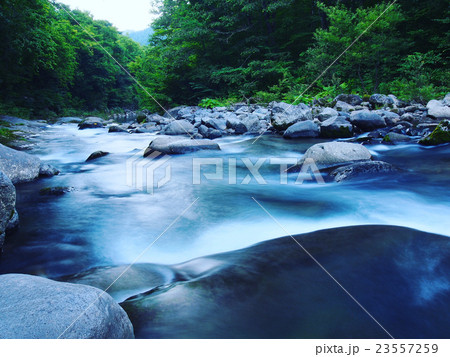 青森_奥入瀬渓流 青森_奥入瀬渓流 23557259