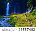 静岡県_白糸の滝 23557492