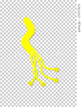 幽門螺桿菌 23557631