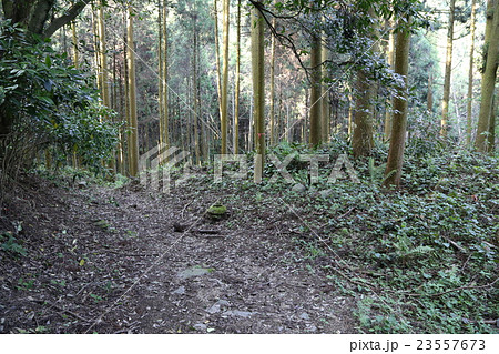 長崎街道冷水峠一里塚跡 23557673