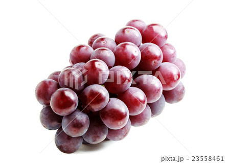 ブドウ　巨峰 23558461