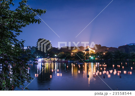 上野公園 不忍池 燈籠流し 上野公園 不忍池 燈籠流し 23558544