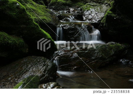 名前のない初夏の沢 23558838