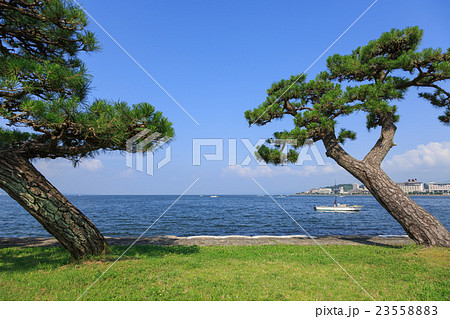松江市　宍道湖の風景 23558883