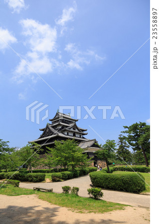国宝　松江城　青い空と青葉 23558897