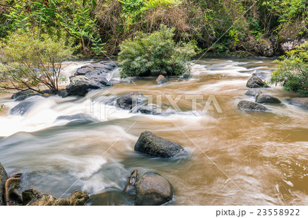 Strong mud river in rainy forest 23558922