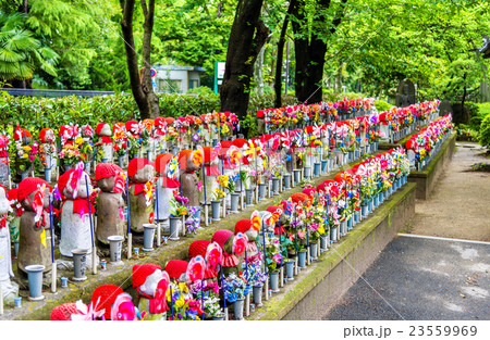 Jizo statues at the cemetery, Zojo-ji temple Jizo statues at the cemetery, Zojo-ji temple 23559969