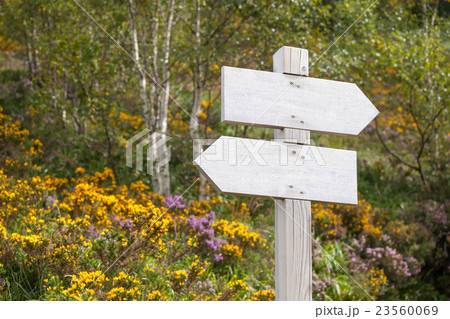 empty signpost in the mountains 23560069
