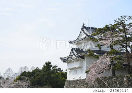 日本100名城 3月の名古屋城 西南隅櫓 日本100名城 3月の名古屋城 西南隅櫓 23560114