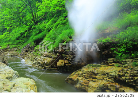 夏の小安峡 23562508