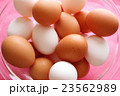 たまご 23562989