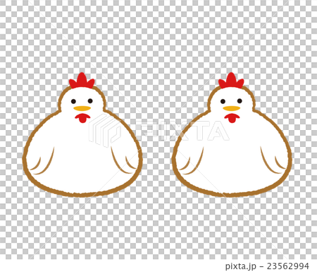 シンプルな二羽いる鶏のイラスト 17年干支 のイラスト素材