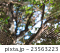 英語蜘蛛_008 23563223