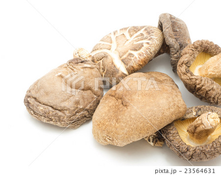 乾燥シイタケ 23564631