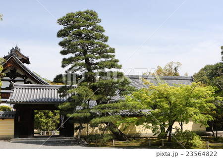 等持院 23564822