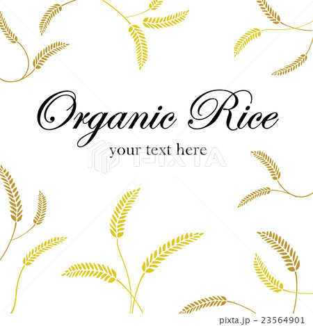 grain organic  grain organic  23564901