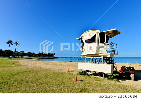 ハワイの休日 23565684