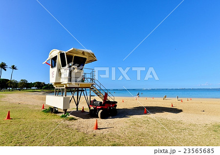 ハワイの休日 23565685
