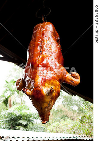ベトナムの子豚の丸焼き 炙り焼き の写真素材