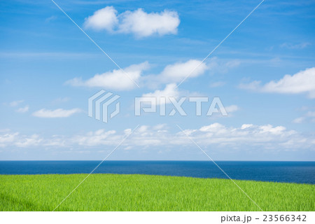 夏の日本海　田んぼと海 23566342