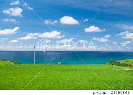 夏の日本海　田んぼと海 23566348