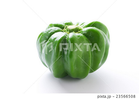 かぐら南蛮3 かぐら南蛮3 23566508