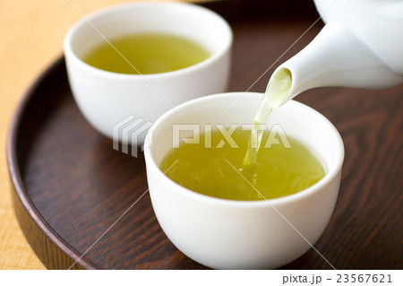 緑茶 23567621