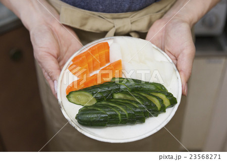 ミドルライフスタイル ミドルライフスタイル 23568271