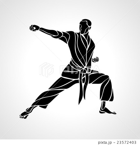 Martial arts pose silhouette. Karate fighter 23572403