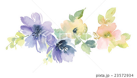 Flowers watercolor illustration Flowers watercolor illustration 23572934