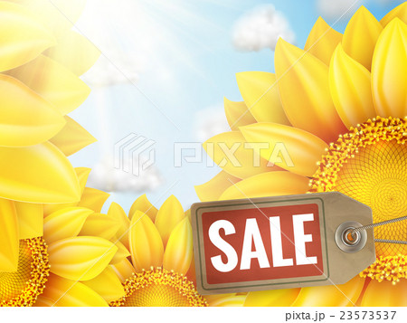 Sunflower with blue sky - autumn sale. EPS 10 23573537
