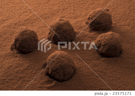 トリュフチョコレートにココアパウダー トリュフチョコレートにココアパウダー 23575171