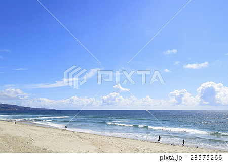 広いトーランスビーチとパロスバーデス半島　 23575266