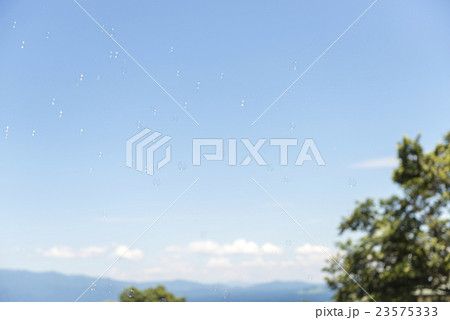 シャボン玉 23575333